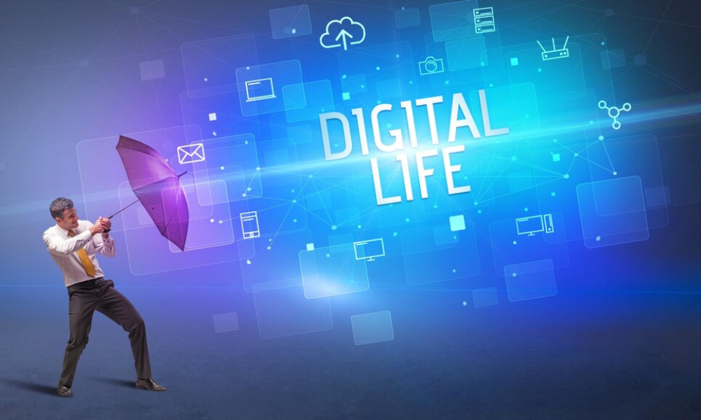 What services do digital marketing companies offer?